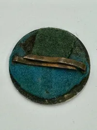 Originalt Dansk D.N.S.A.P. ravnemærke med S.A nummer og originalt SA kasketmærke. WW2, Ekstremt sjældent.