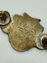 Originalt Dansk D.N.S.A.P. ravnemærke med S.A nummer og originalt SA kasketmærke. WW2, Ekstremt sjældent.