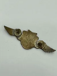 Originalt Dansk D.N.S.A.P. ravnemærke med S.A nummer og originalt SA kasketmærke. WW2, Ekstremt sjældent.