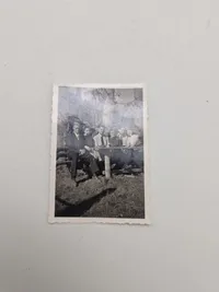 Originalt lot billeder & dødsannonce - ww2