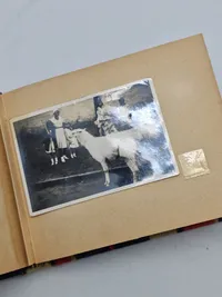 Originalt tysk billedalbum fra 1930’erne og op