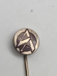Original, stemplet SA pin Tysk WW2