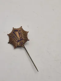 Original tysk DLB Pin
