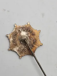 Original tysk DLB Pin