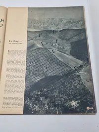 Originalt Dansk WW2 signalblad