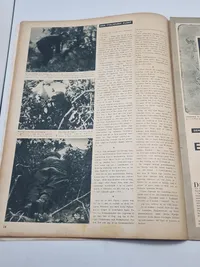 Originalt Dansk WW2 signalblad