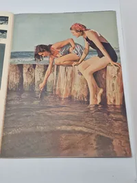 Originalt Dansk WW2 signalblad