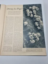Originalt Dansk WW2 signalblad