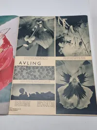 Originalt Dansk WW2 signalblad