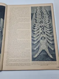 Originalt Dansk WW2 signalblad