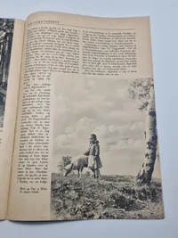 Original Den Tysk Ugerevy bla. med Frikorps Danmark