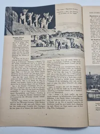Original Den Tysk Ugerevy bla. med Frikorps Danmark