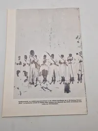 Samling originale medlemsplade fra SS veteran foreningen