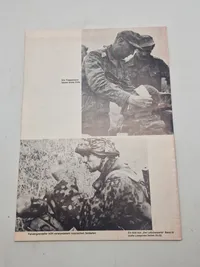 Samling originale medlemsplade fra SS veteran foreningen