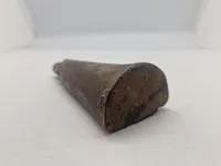 Originalt Afrikansk krudthorn