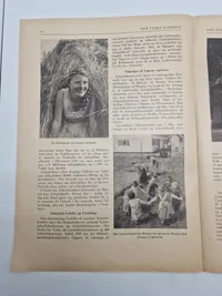 Original den Tyske ugerevy dansksproget propaganda WW2