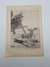 Original den Tyske ugerevy dansksproget propaganda WW2
