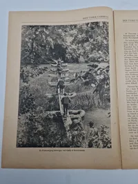 Original den Tyske ugerevy dansksproget propaganda WW2