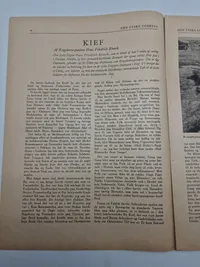 Original den Tyske ugerevy dansksproget propaganda WW2