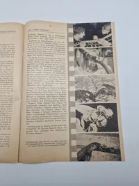 Original den Tyske ugerevy dansksproget propaganda WW2