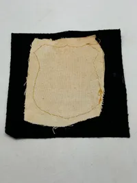 Royal Airforce blazer mærke