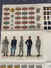 Plakat med forskelige rang DK
