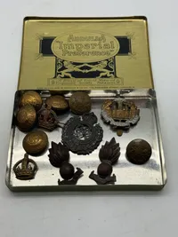 Samling originale Engelske WW2 regimentsmærker