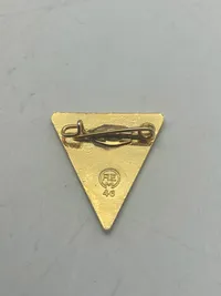 Tysk ww2 Frauenschaft badge - Efterkrigs