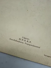Originalt D.N.S.A.P. propaganda: Danske Kvinder og Nationalsocialismen Ekstremt sjældent