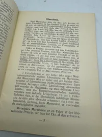 Originalt D.N.S.A.P. propaganda: Danmarks politiske fremtid, fra 1934 Ekstremt sjældent