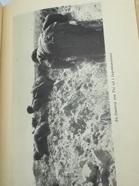 Original Dansk Daad paa Østfronten. Bogen om Frikorps "Danmark". PETERSEN, AAGE NORDAHL. København 1943. 48 sider. Rigt illustreret i s/h.