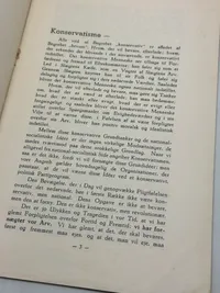Originalt D.N.S.A.P. propaganda fra 1934: Ikke konservativ men National Socialistisk Ekstremt sjældent