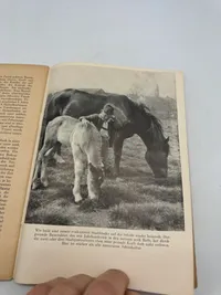 Originalt SS Leitheft 1944
