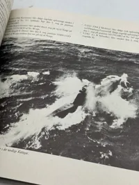 U-534