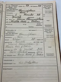 Originalt Ahnenpass fra Dansker, godt udfyldt