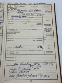 Originalt Ahnenpass fra Dansker, godt udfyldt
