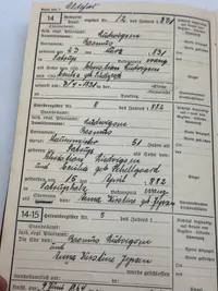 Originalt Ahnenpass fra Dansker, godt udfyldt