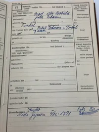 Originalt Ahnenpass fra Dansker, godt udfyldt
