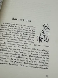Originalt Sjældent D.N.S.A.P. propaganda hæfte WW2