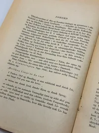 Originalt Sjældent D.N.S.A.P. propaganda hæfte WW2