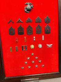 Original USMC tavle med alle rang man kan opnå i USMC