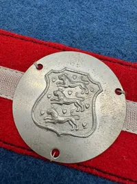 De Røde enge 1945, pragtindbinding med armbind og rødt lædder