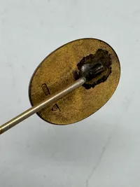 Ekstremt sjælden Dansk freemstillet Fasist pin fra 20/30 erne