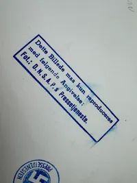Originalt D.N.S.A.P. presse foto Von Schalburg, Sjældent