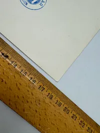 Originalt D.N.S.A.P. presse foto Von Schalburg, Sjældent