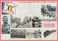 Originalt WW2 Légion Wallonie badge