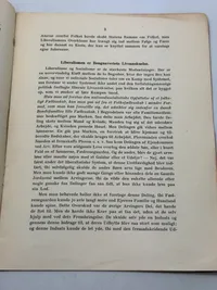 Originalt Sjældent D.N.S.A.P. propaganda hæfte WW2