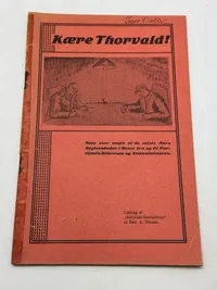 Originalt Sjældent D.N.S.A.P. propaganda hæfte WW2