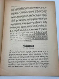 Originalt Sjældent D.N.S.A.P. propaganda hæfte WW2