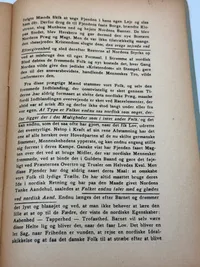 Originalt Sjældent D.N.S.A.P. propaganda hæfte WW2